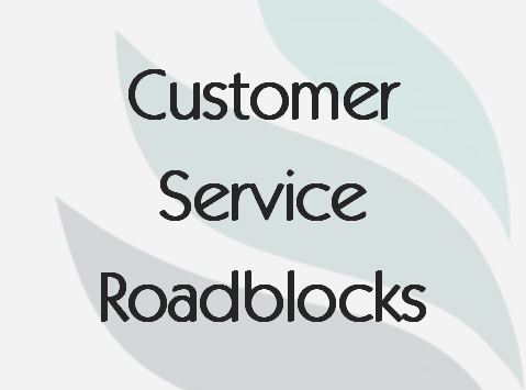 Read more about the article Customer Service Roadblocks