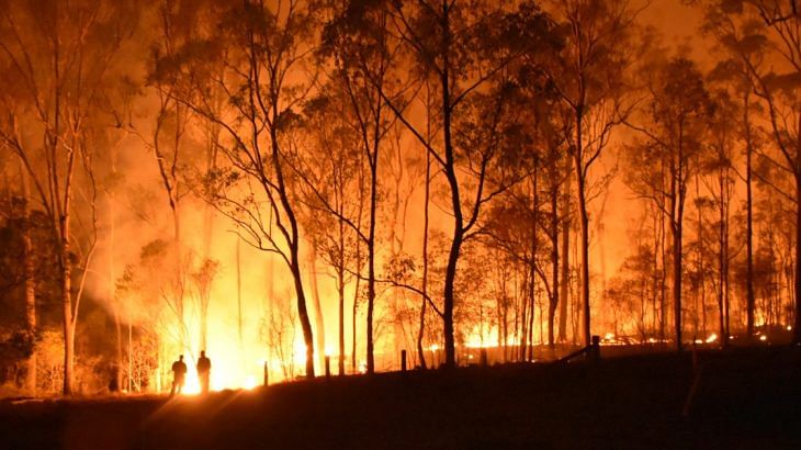 Read more about the article Bushfire support and assistance