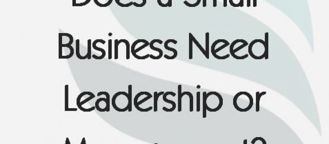 does-a-small-business-need-leadership-or-management
